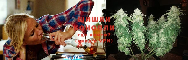 ешки Бронницы