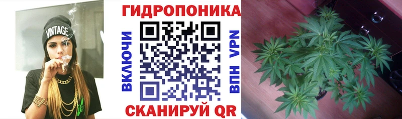 MEGA как войти  Монино  Бошки марихуана Bruce Banner 
